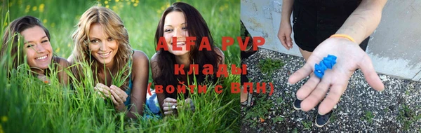 молекула духа Алексин