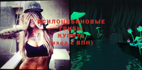 молекула духа Алексин