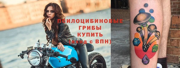 jwh Алзамай