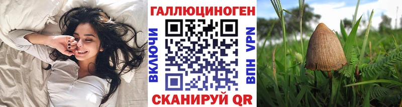 Галлюциногенные грибы GOLDEN TEACHER  дарк нет наркотические препараты  Мураши 